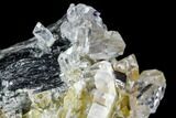 Quartz Crystal Cluster - Hardangervidda, Norway #111441-2